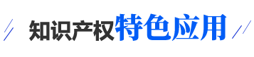 知识产权特色应用